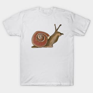 Garden Snail T-Shirt